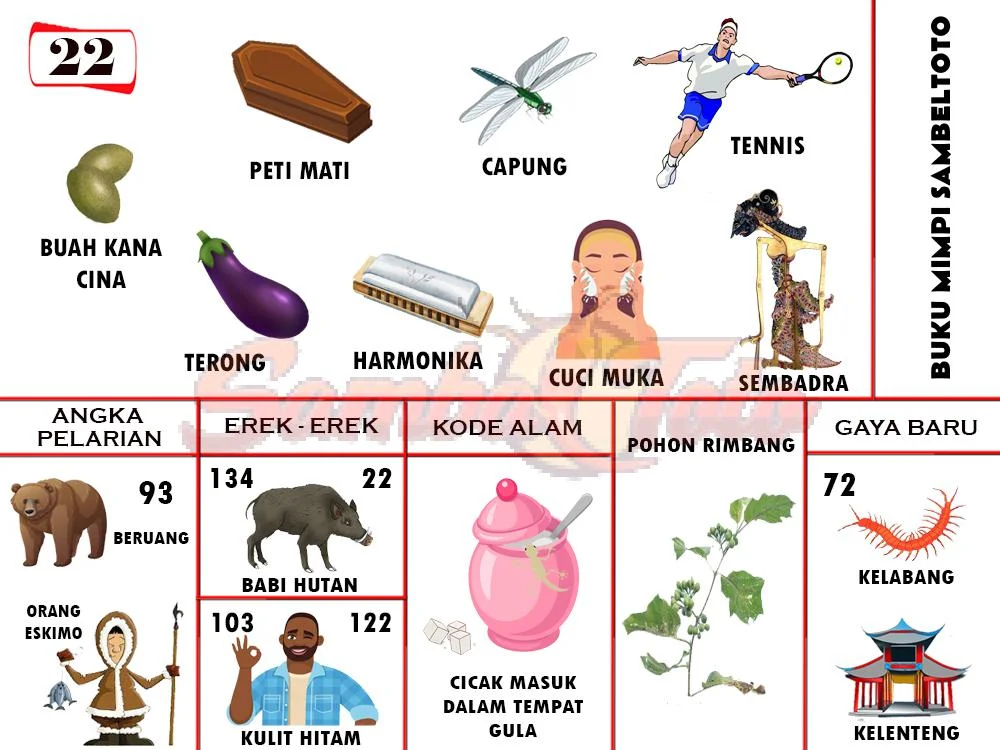 buku mimpi erek erek togel 22