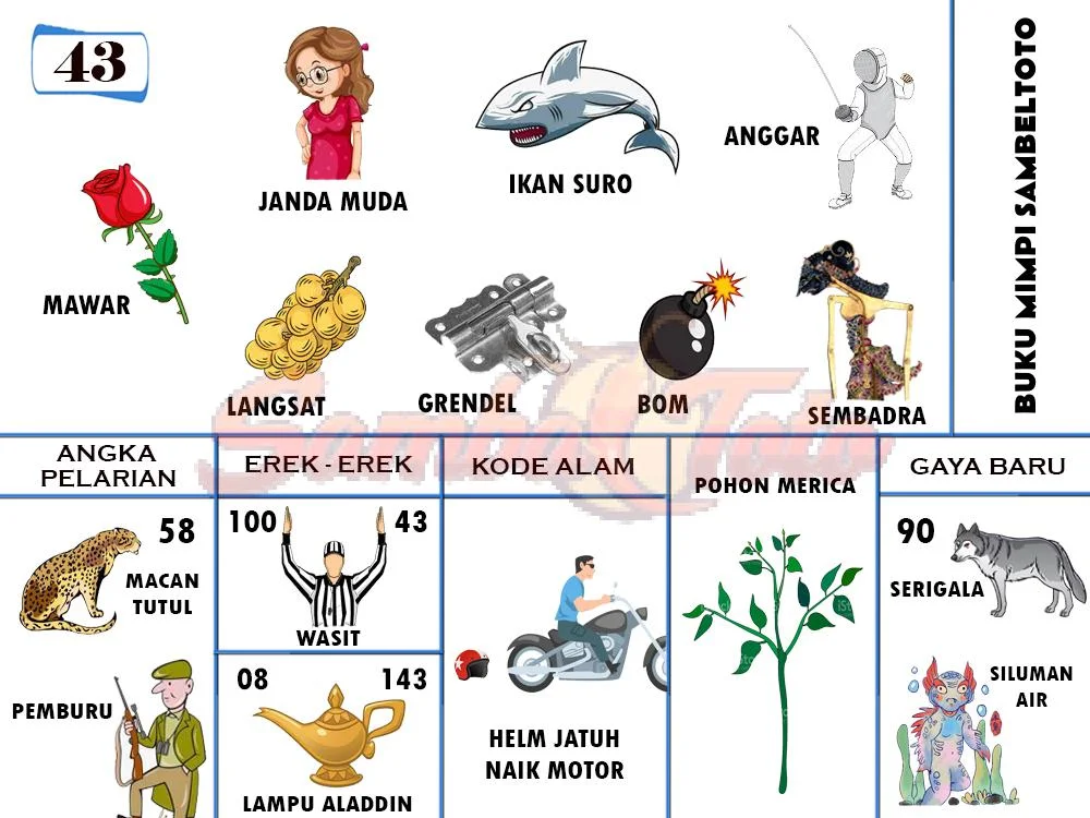 buku mimpi erek erek togel 43